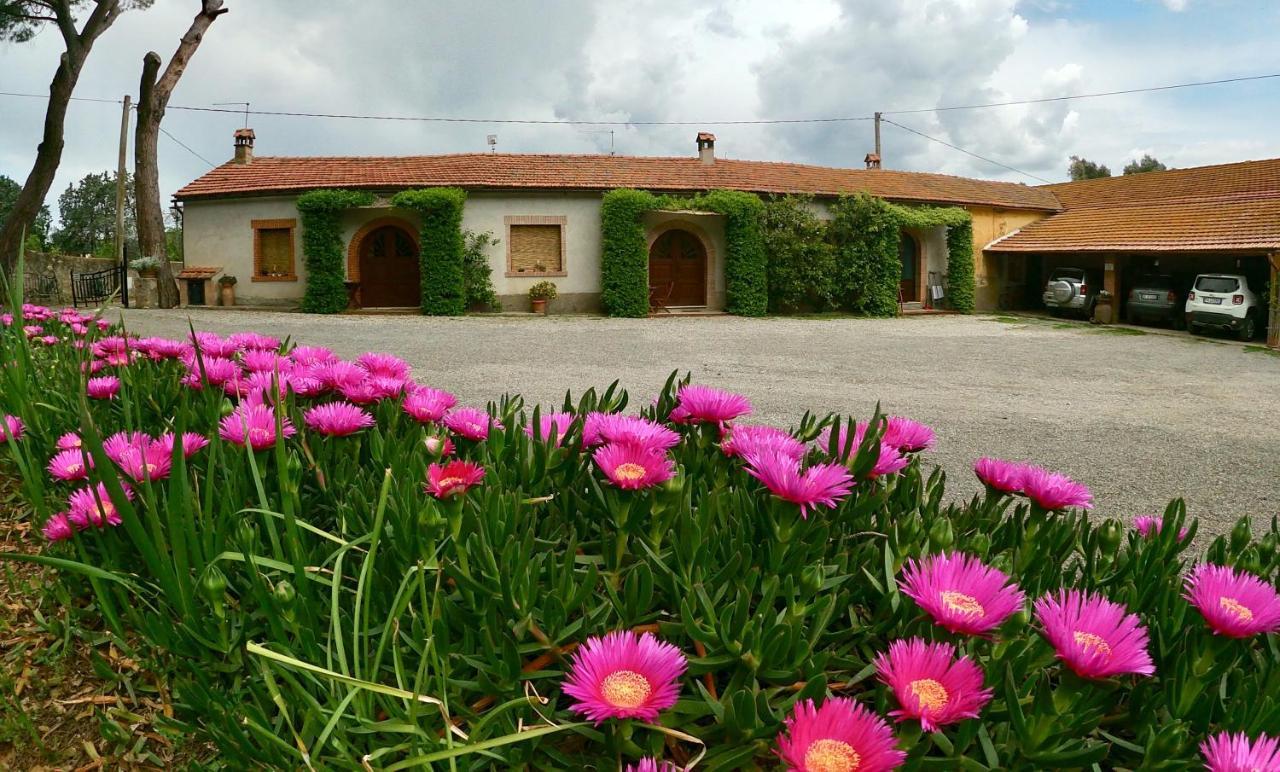 Agriturismo Monte Alzato Capalbio Exteriér fotografie