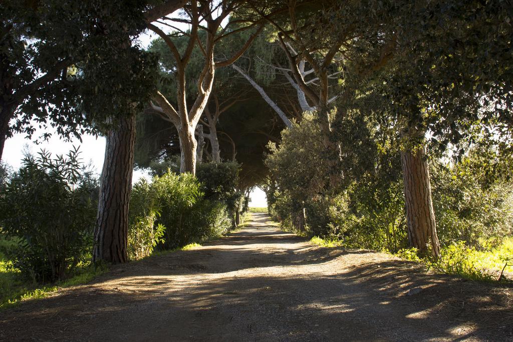 Agriturismo Monte Alzato Capalbio Exteriér fotografie