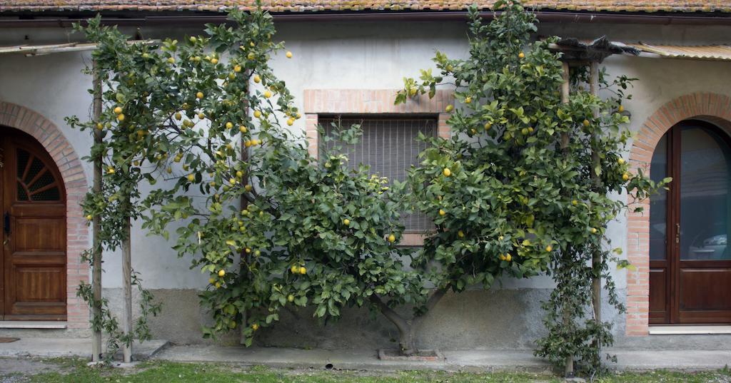 Agriturismo Monte Alzato Capalbio Pokoj fotografie